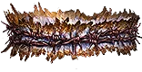 Binds Of Bloody Vengeance unique item for Path of Exile - Sanctuary Relic