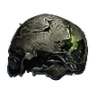 Preserved Cranium