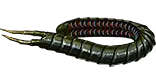 Ryslatha'S Coil unique item for Path of Exile - Sanctuary Relic
